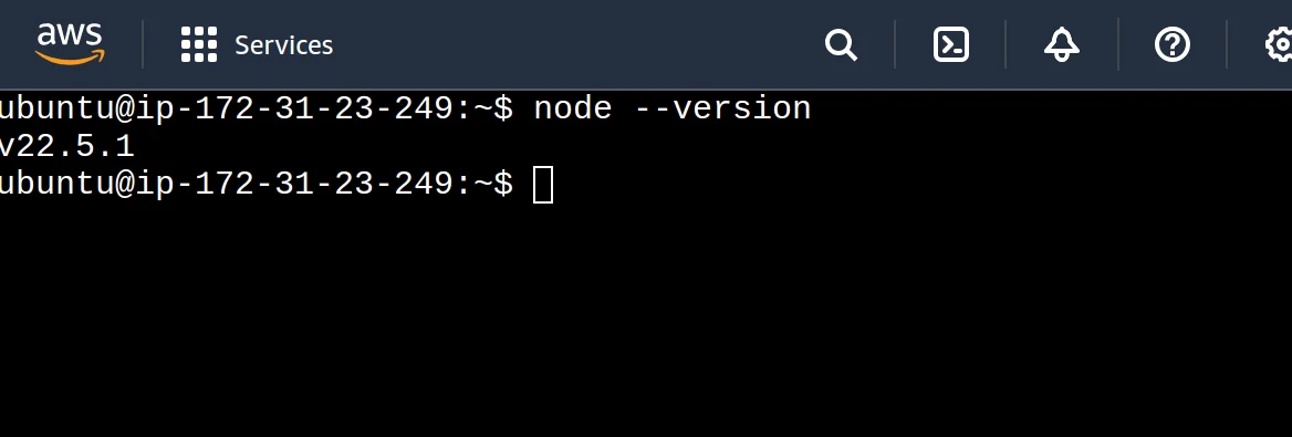 Terminal showing Node.js version check